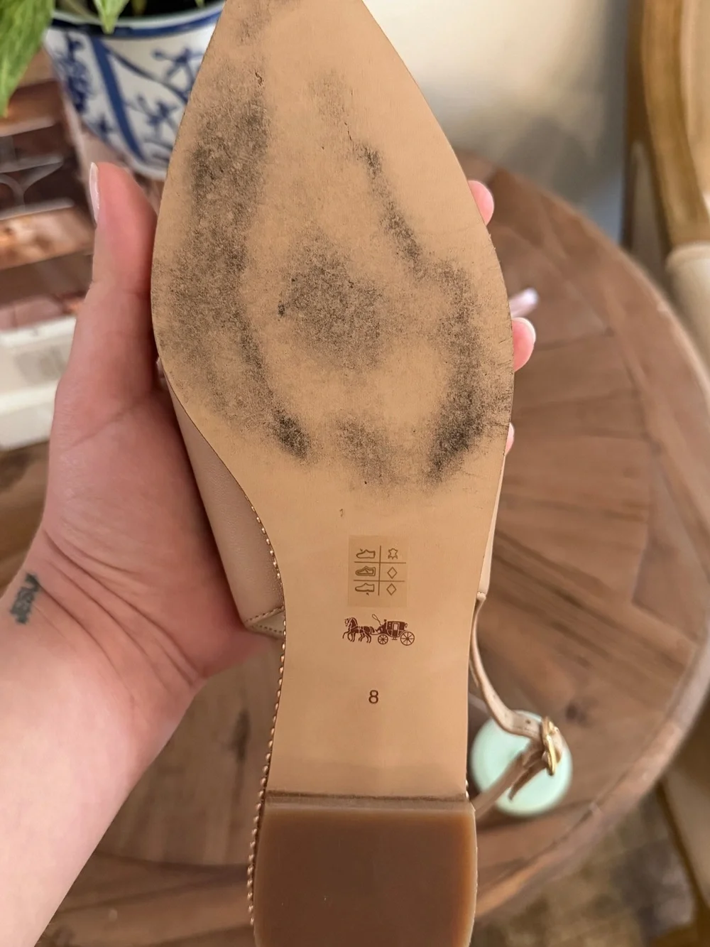 Coach authentic pointed
